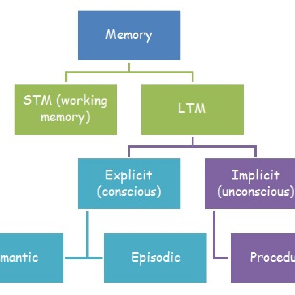 Types Of Long Term Memory - Psychology Hub